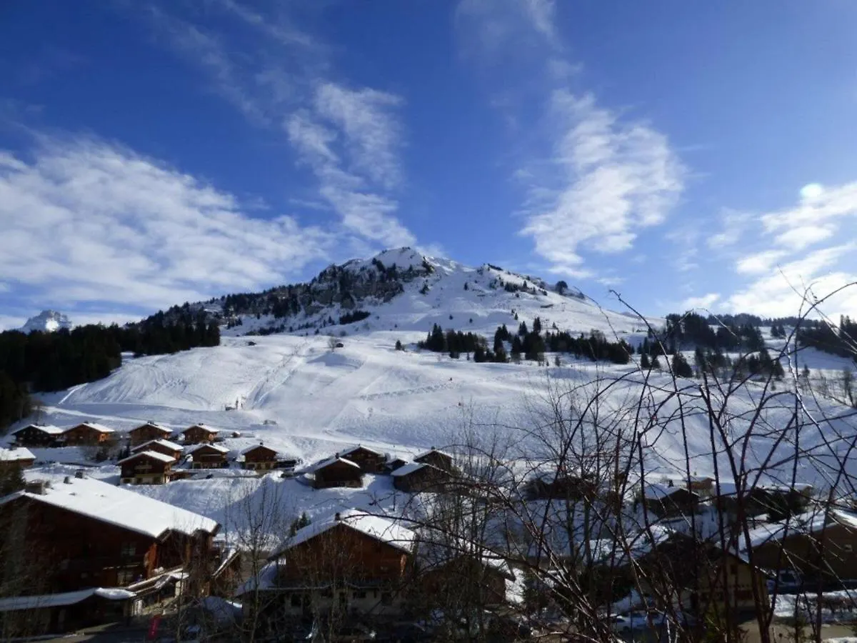 Appartement Confortable 40M² Pour 6 Pers. Proche Pistes De Ski, Grande Terrasse - Fr-1-458-93 Ле-Гран-Борнан Франция