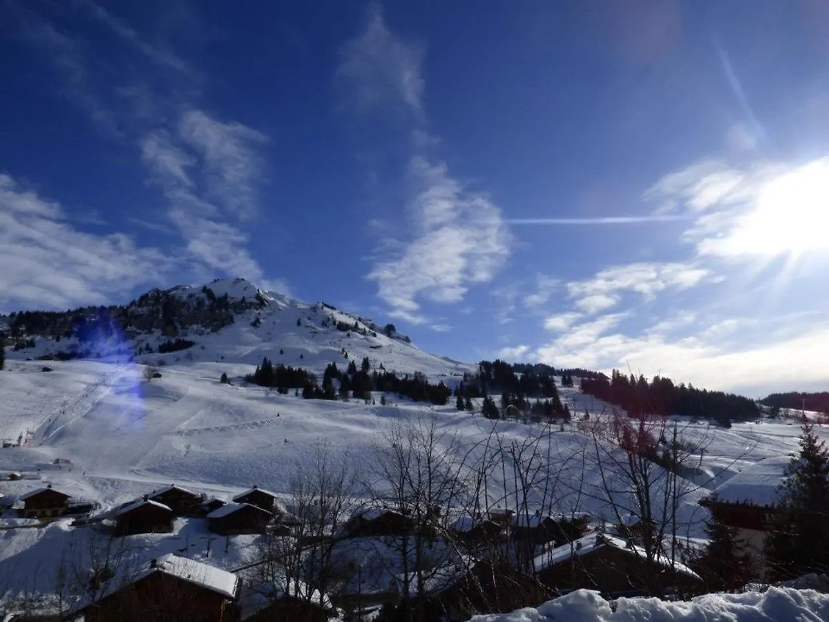 Appartement Confortable 40M² Pour 6 Pers. Proche Pistes De Ski, Grande Terrasse - Fr-1-458-93 Ле-Гран-Борнан Апартаменты